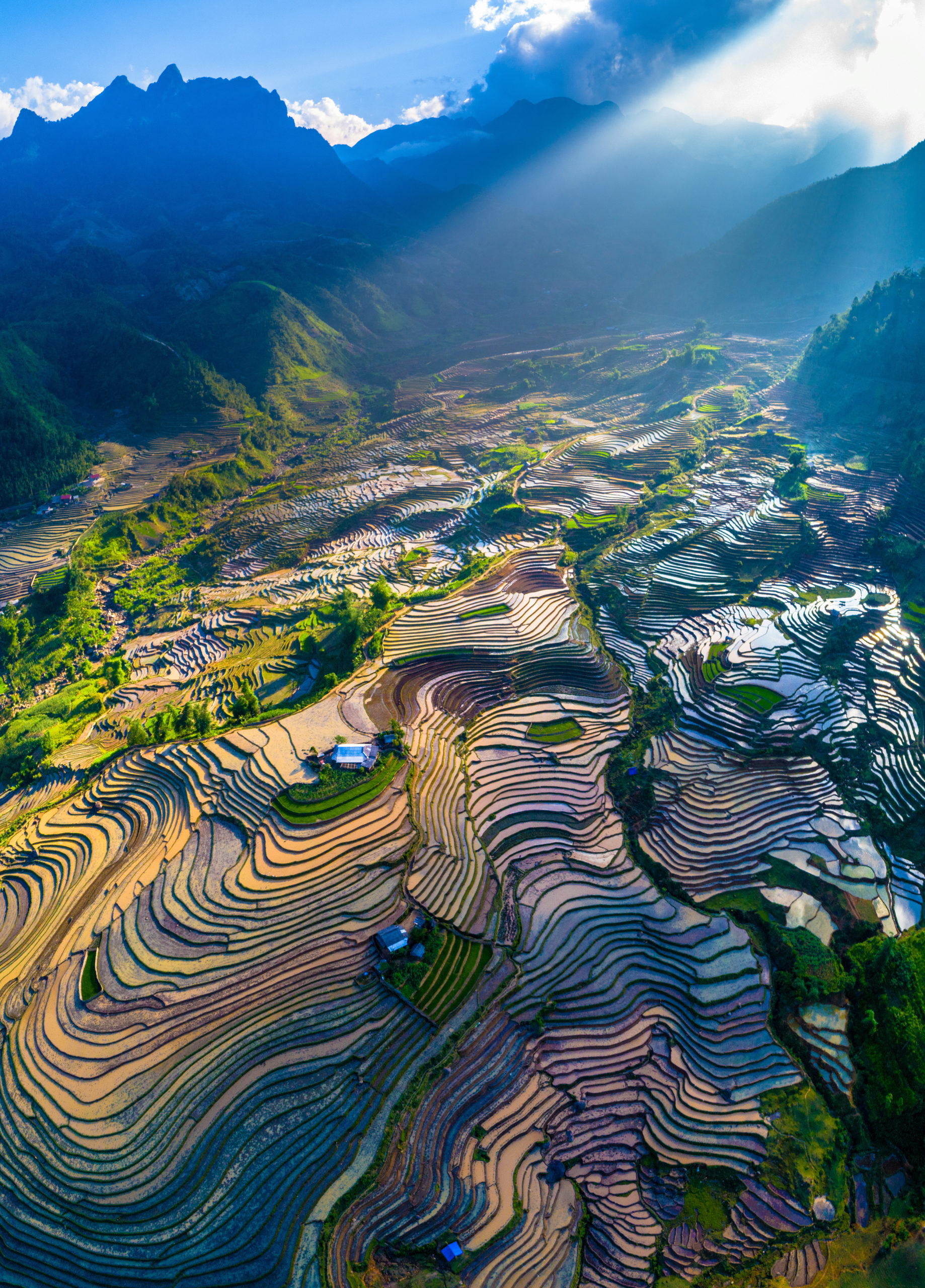 Top 5 ảnh Bìa đẹp nhất – Trần Quang Quý