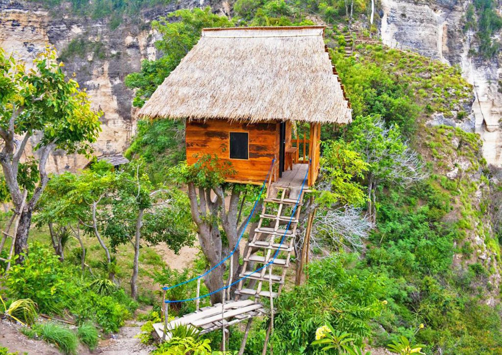 Nhà trên cây bằng gỗ mái lá ở Nusa Penida, lối lên bằng cầu thang tre giữa sườn núi xanh