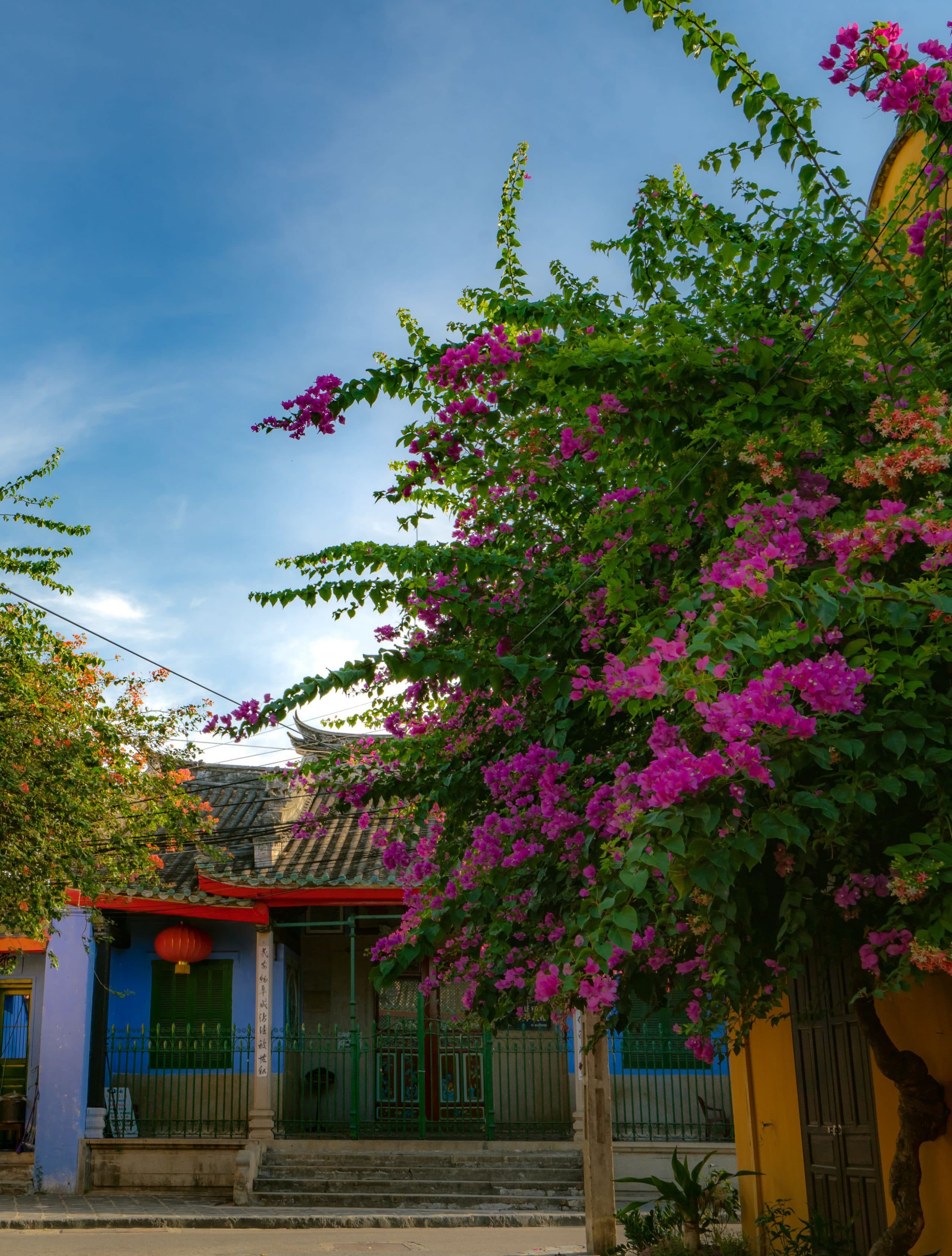 207- Hội An 4 – Mai Thành Chương