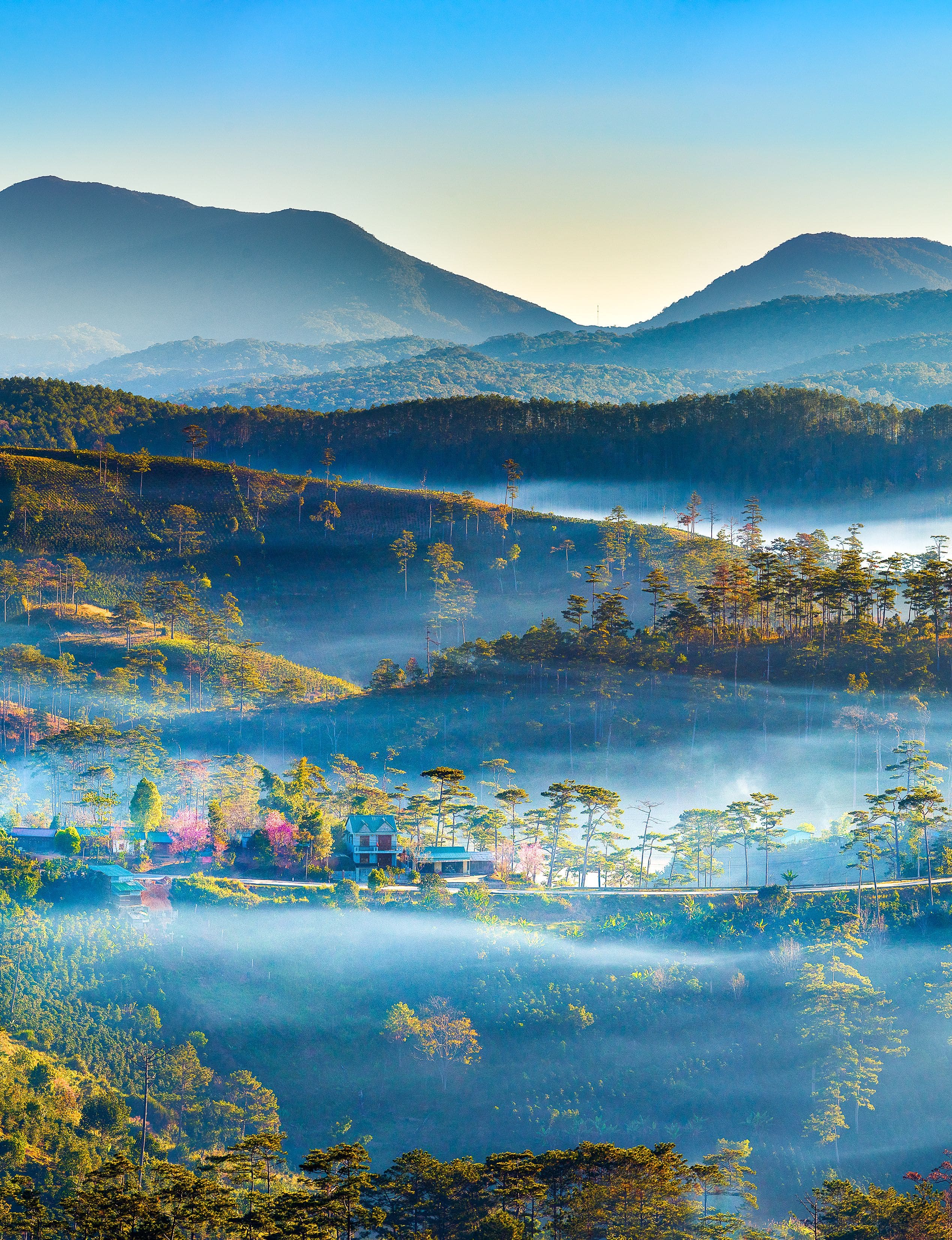 216- Phố núi vào xuân – Nguyễn Ngọc Luân