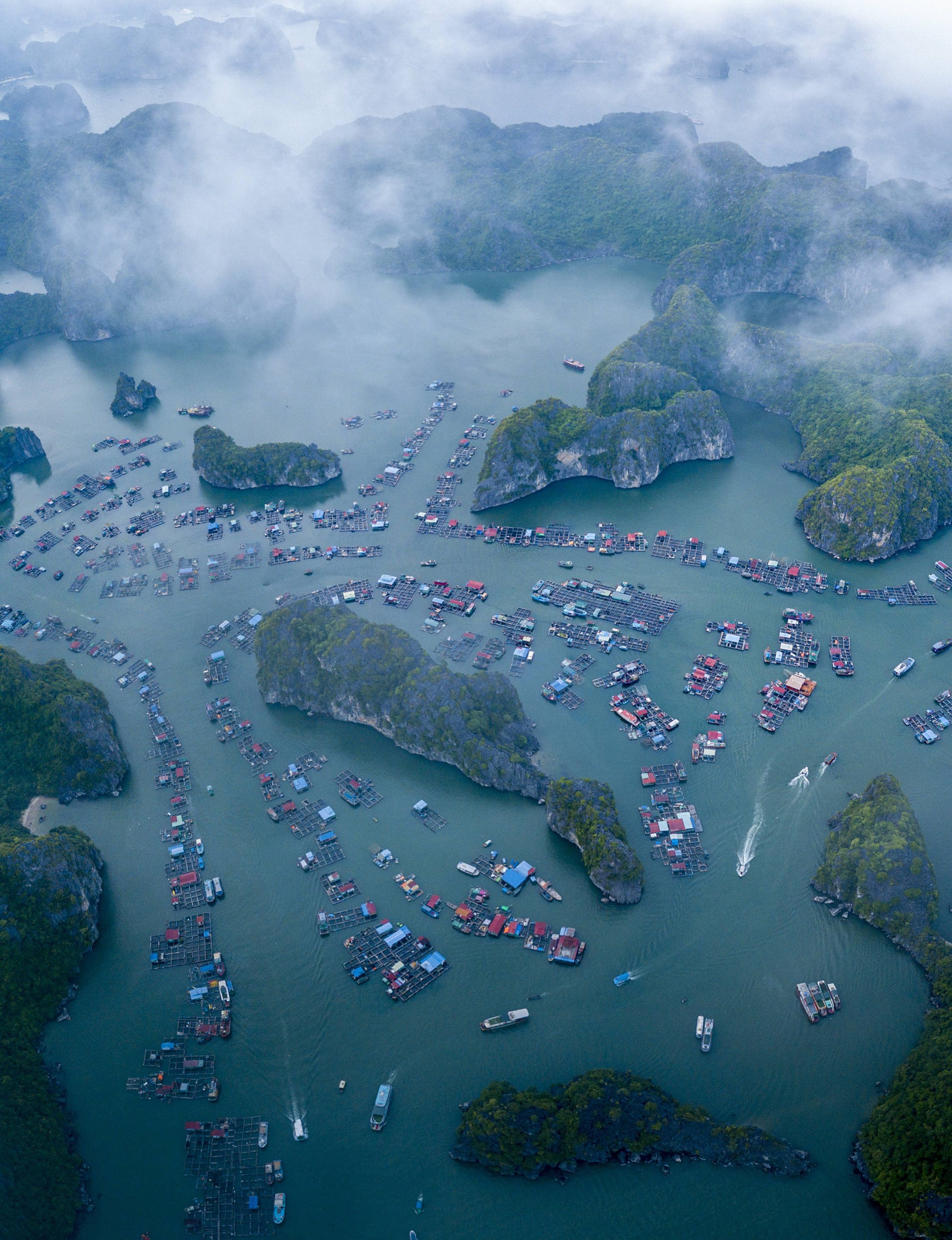 231 – Sương sớm ở làng nối Cái Bèo – Vũ Bảo Ngọc