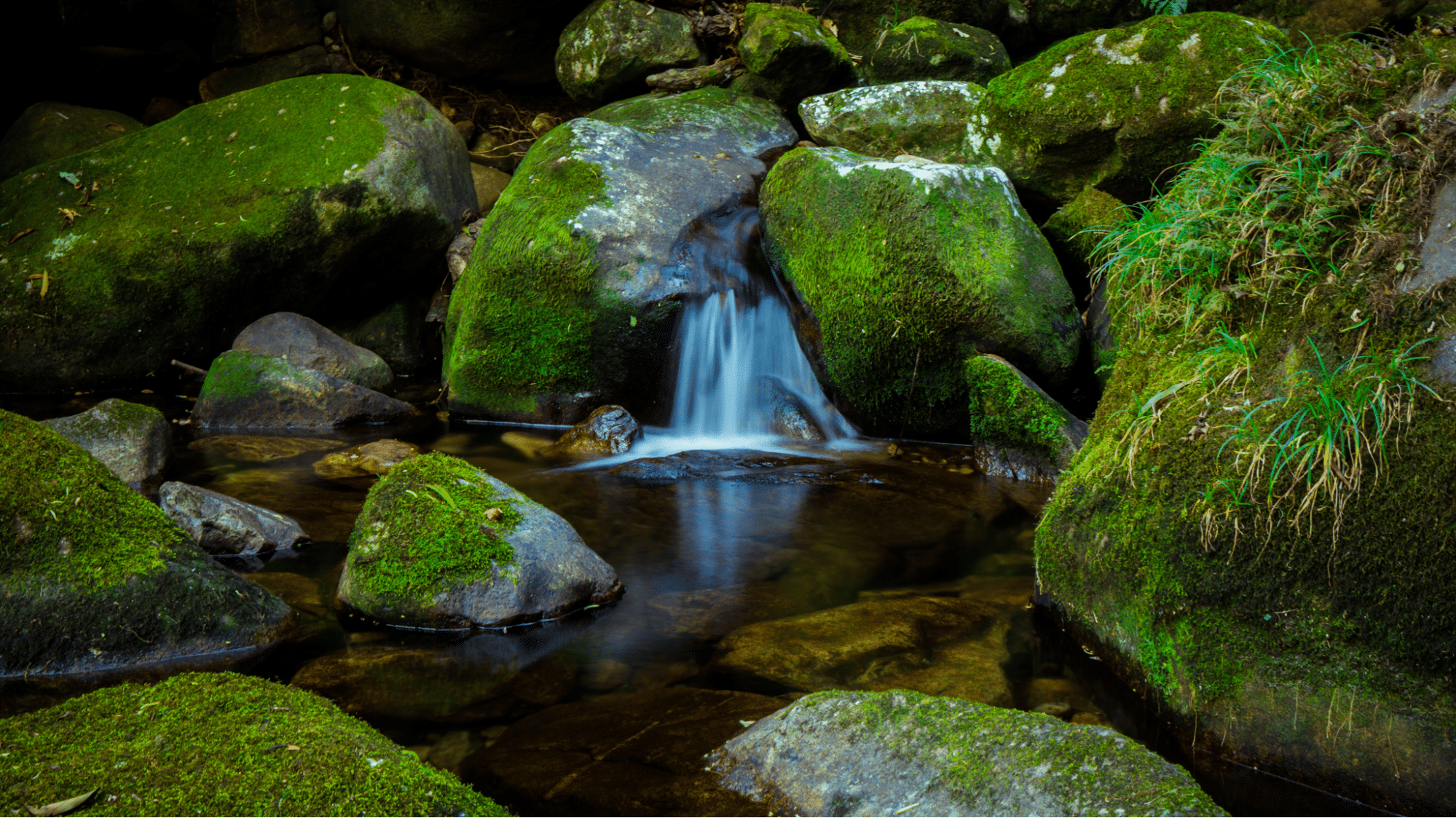 du lịch Việt Nam khám phá dãy núi Pu Ta Leng