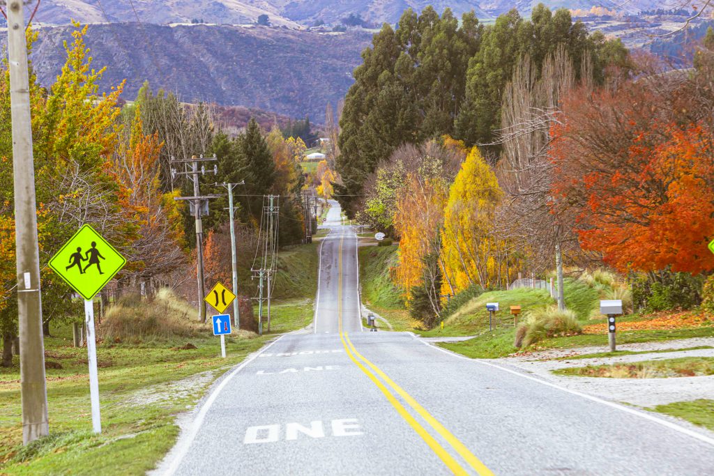 A road stretches ahead lined with colorful autumn trees and warning signs