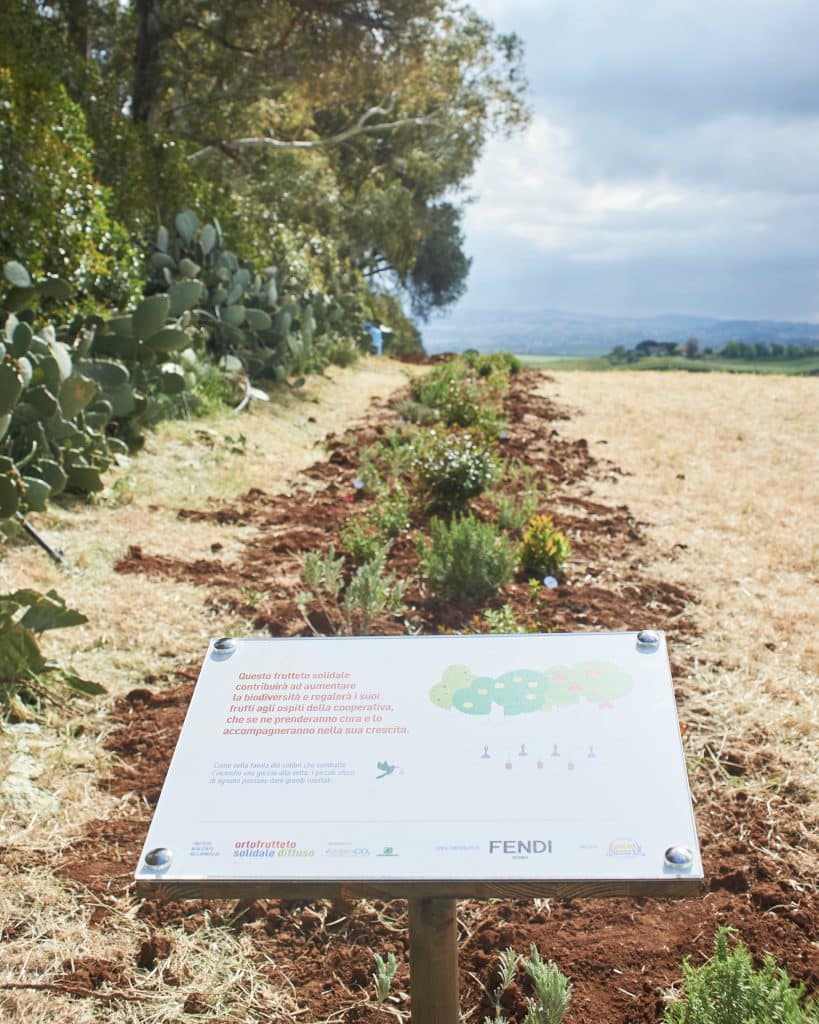 Khu vực tái trồng rừng với biển hiệu FENDI và hệ thống tưới tiêu nhỏ giọt hiện đại