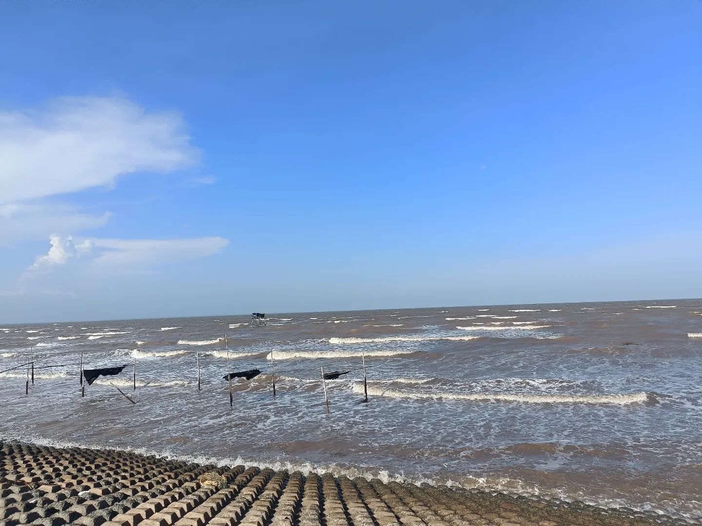 Biển Tân Thành là địa điểm du lịch biển nổi tiếng tại Tiền Giang